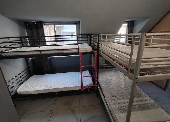 Lion Hostel