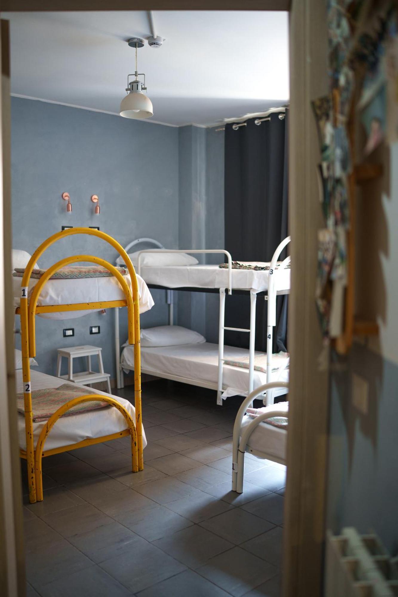 Auberge de jeunesse Lion & Youth